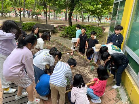 2024 4학년 텃밭 농사 상반기 운영 모습